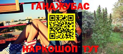 мдпв Пенза